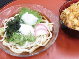 F.冷やしうどん・ミニかき揚げ丼セット